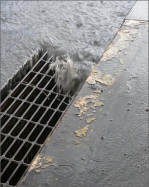 Photograph of storm drain at curb